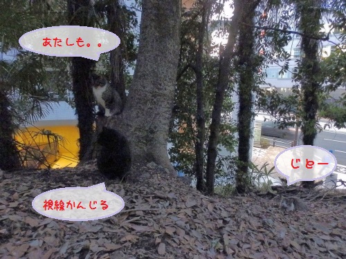 f:id:garadanikki:20160318104735j:plain