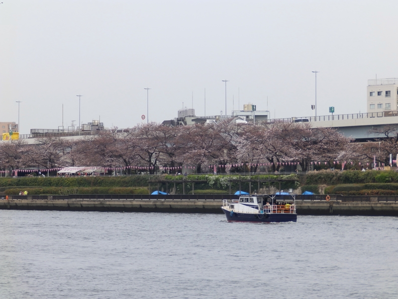 f:id:garadanikki:20160331220402j:plain