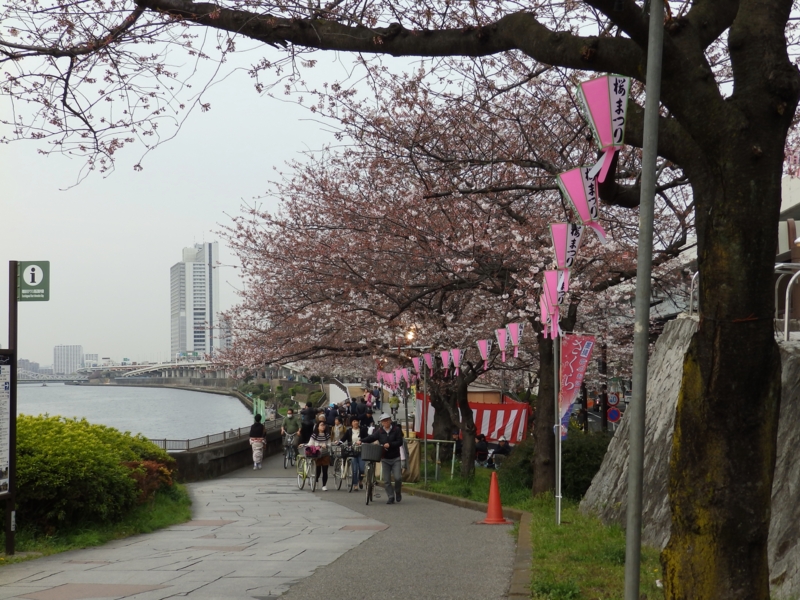 f:id:garadanikki:20160331220422j:plain