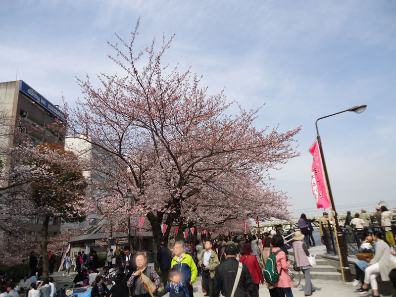 f:id:garadanikki:20160401100746j:plain