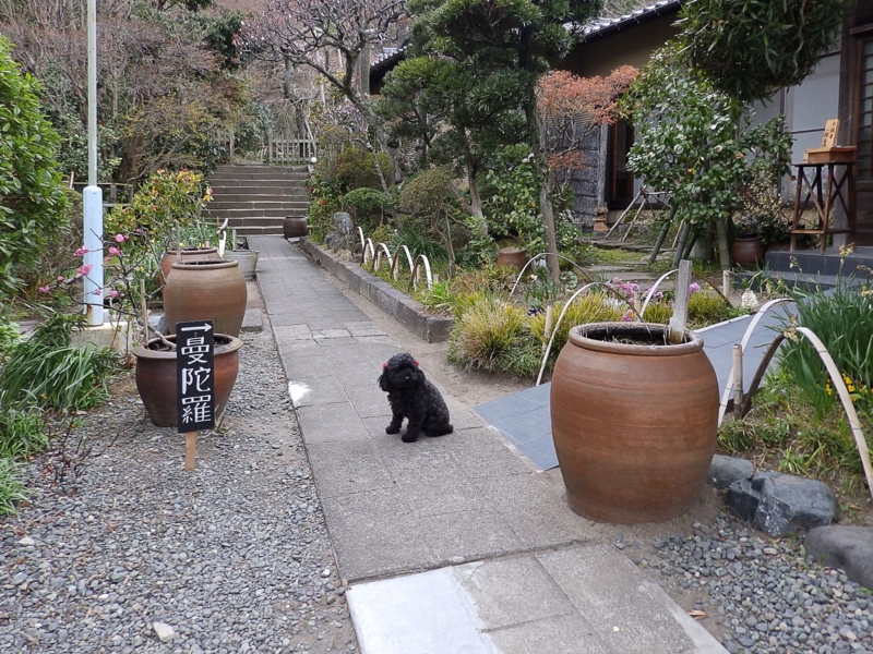 クリックすると大きくなります f:id:garadanikki:20160411113107j:plain