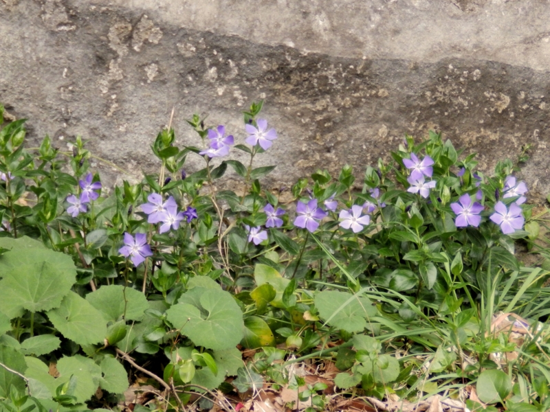 f:id:garadanikki:20160417145259j:plain