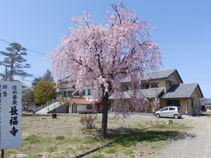 f:id:garadanikki:20160418101416j:plain