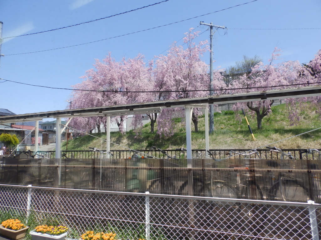 f:id:garadanikki:20160418115430j:plain