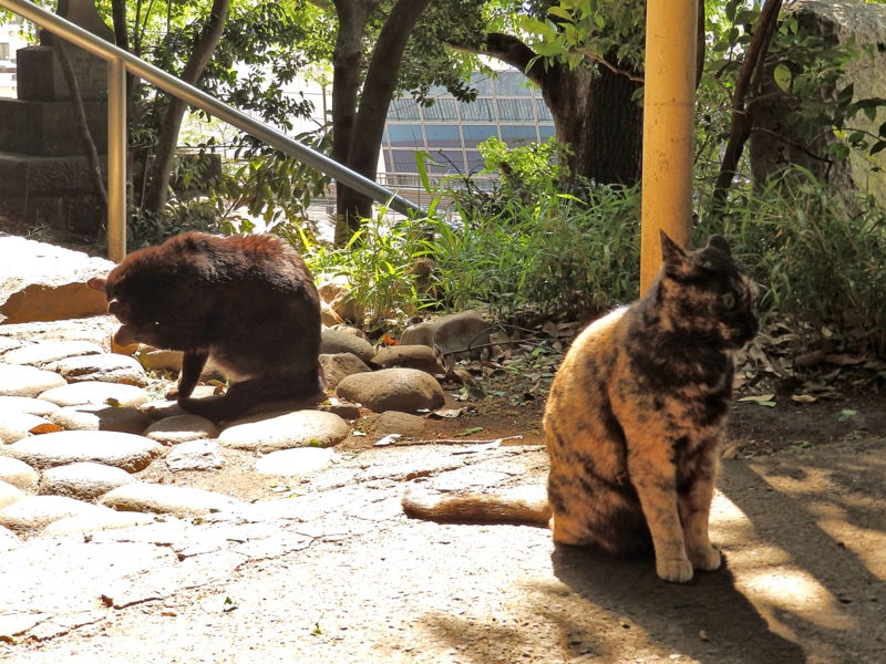 クリックすると大きくなります f:id:garadanikki:20160502095510j:plain