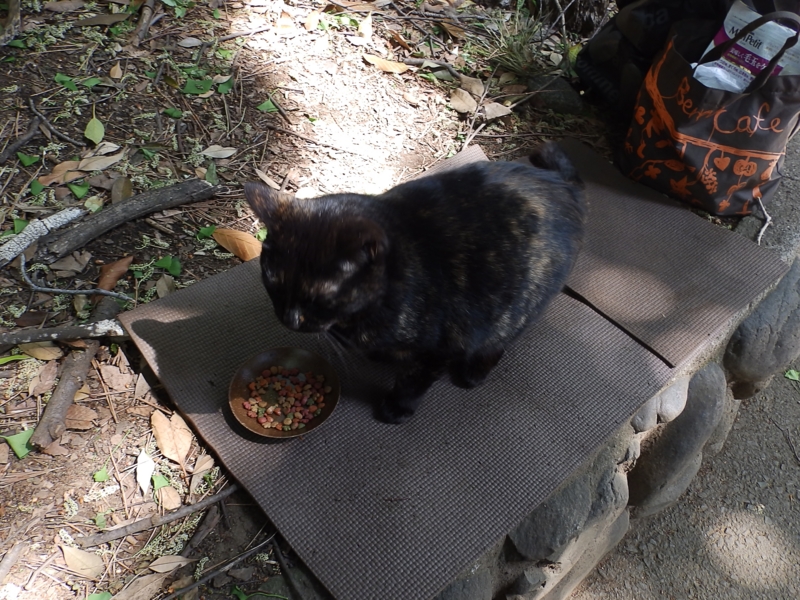 クリックすると大きくなります f:id:garadanikki:20160502095511j:plain