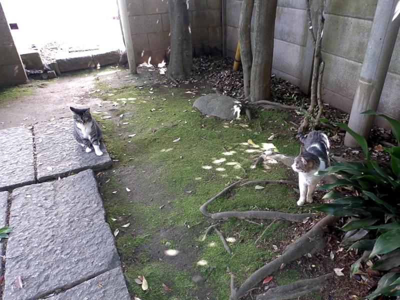 クリックすると大きくなります f:id:garadanikki:20160502095512j:plain