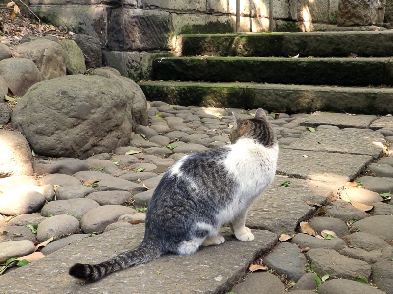 クリックすると大きくなります f:id:garadanikki:20160502095516j:plain