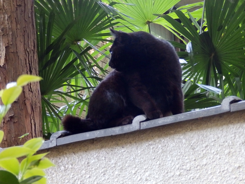 クリックすると大きくなります f:id:garadanikki:20160502095517j:plain