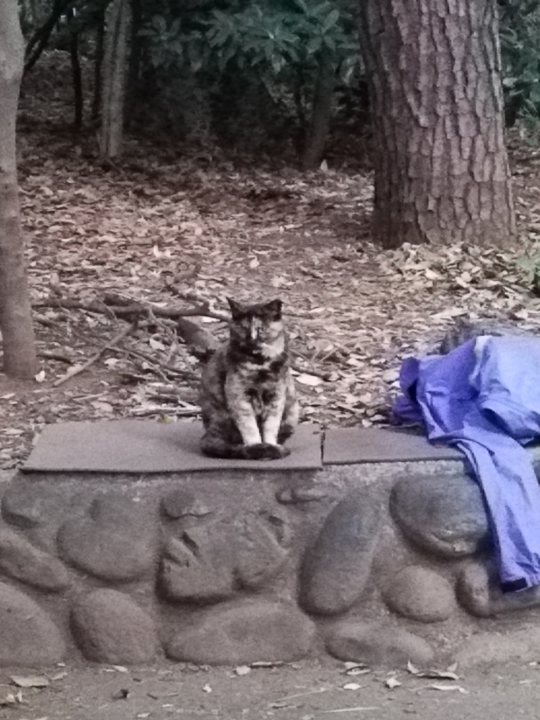 クリックすると大きくなります f:id:garadanikki:20160511111725j:plain