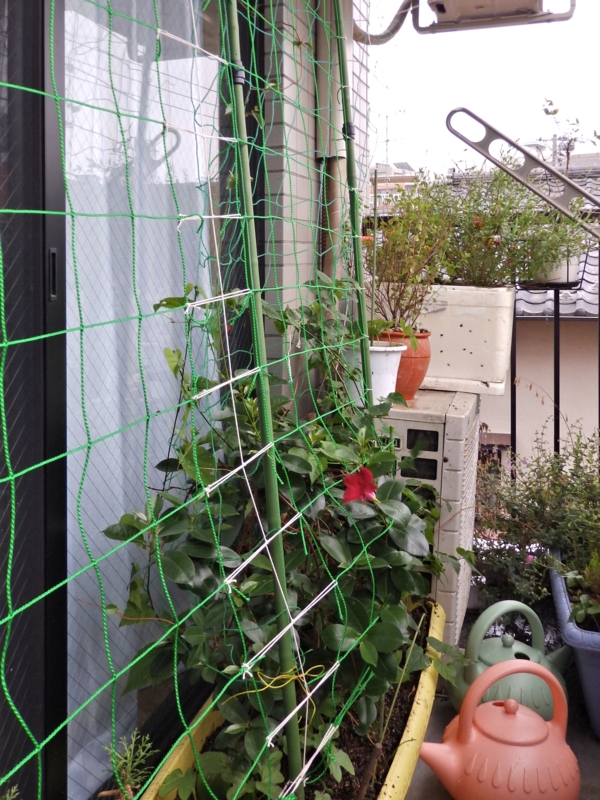 f:id:garadanikki:20160620111847j:plain