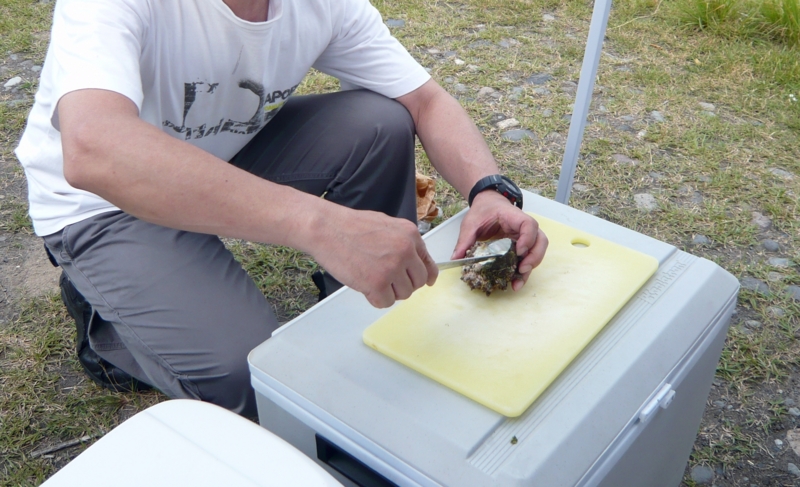 クリックすると大きくなります f:id:garadanikki:20160704103543j:plain