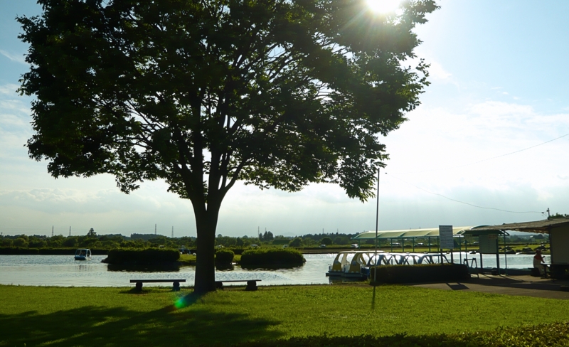 クリックすると大きくなります f:id:garadanikki:20160704103558j:plain