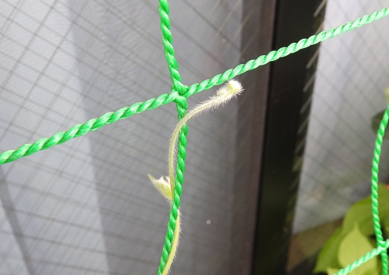 f:id:garadanikki:20160708101841j:plain