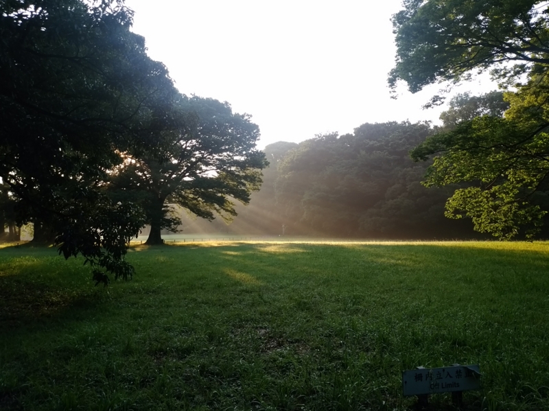 f:id:garadanikki:20160713143104j:plain
