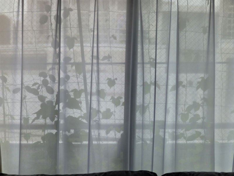 f:id:garadanikki:20160726130103j:plain