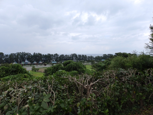f:id:garadanikki:20160822102704j:plain