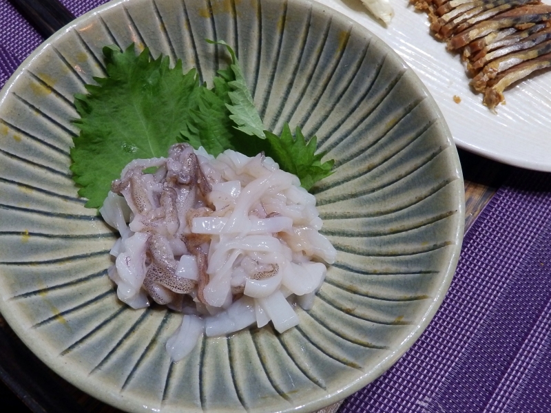 f:id:garadanikki:20160826133056j:plain