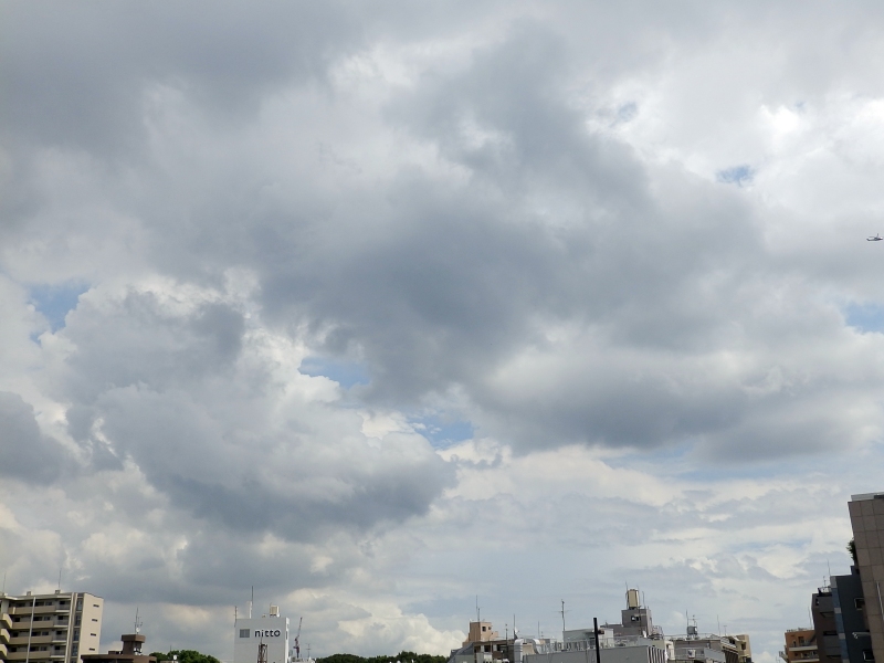 クリックすると大きくなります f:id:garadanikki:20160828094840j:plain