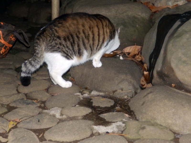 クリックすると大きくなります f:id:garadanikki:20160904130749j:plain