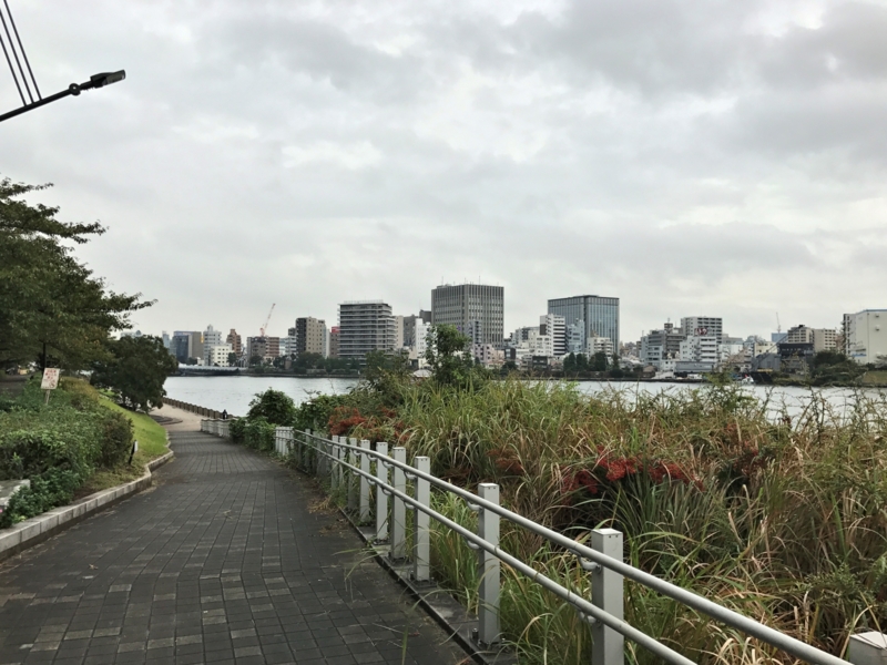 クリックすると大きくなります f:id:garadanikki:20161031164952j:plain