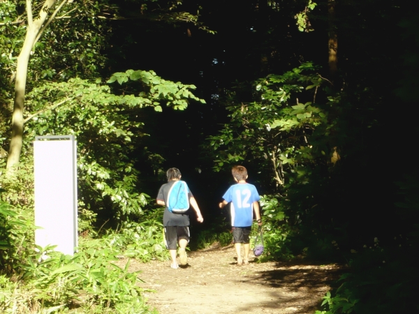 f:id:garadanikki:20161108110242j:plain