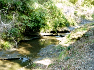 f:id:garadanikki:20161108123552j:plain