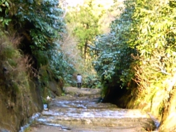 f:id:garadanikki:20161108123725j:plain