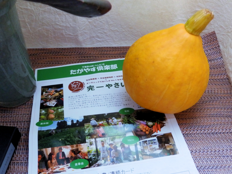 クリックすると大きくなります f:id:garadanikki:20161121185809j:plain