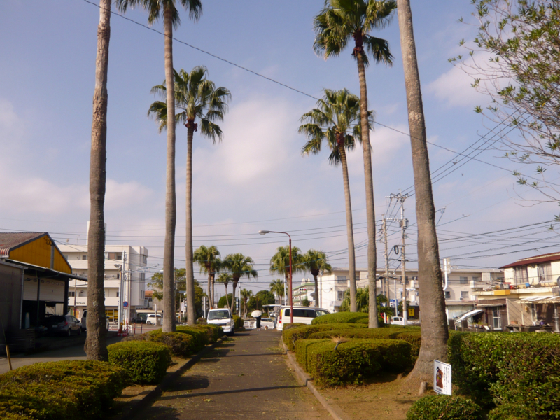 クリックすると大きくなります f:id:garadanikki:20161124132003j:plain