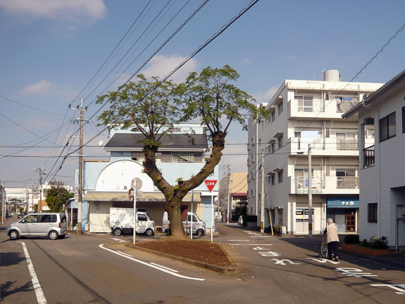 クリックすると大きくなります f:id:garadanikki:20161124132009j:plain