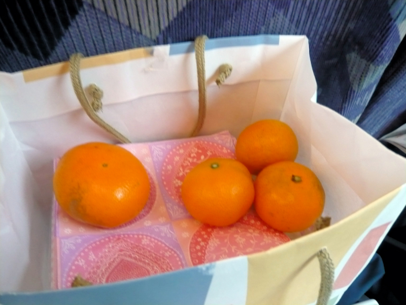 クリックすると大きくなります f:id:garadanikki:20161128152321j:plain