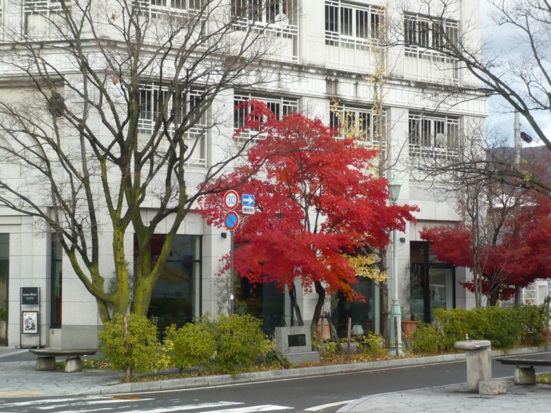 クリックすると大きくなります f:id:garadanikki:20161128152335j:plain