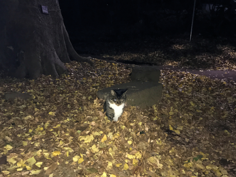 クリックすると大きくなります f:id:garadanikki:20161223121644j:plain