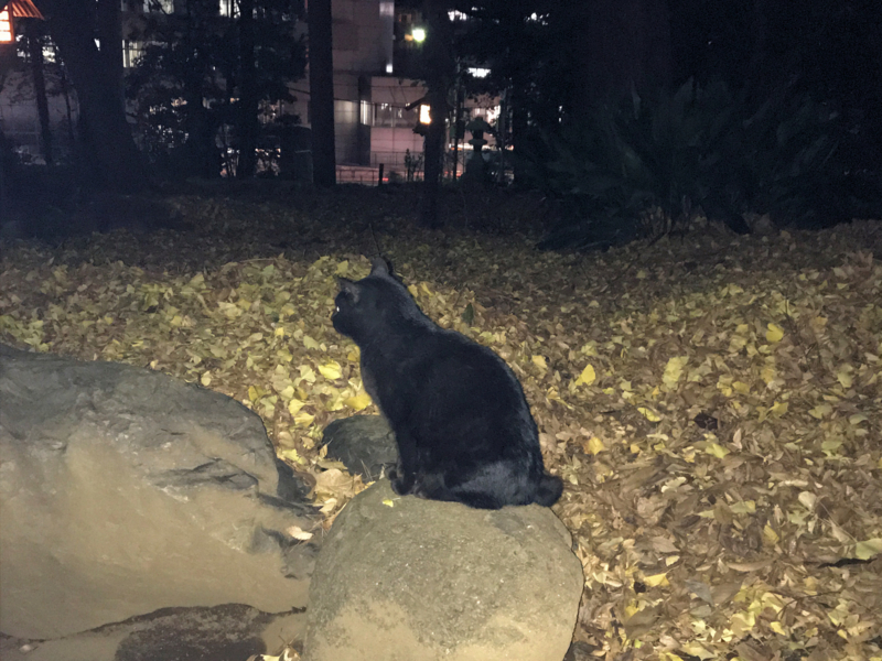 クリックすると大きくなります f:id:garadanikki:20161223121645j:plain