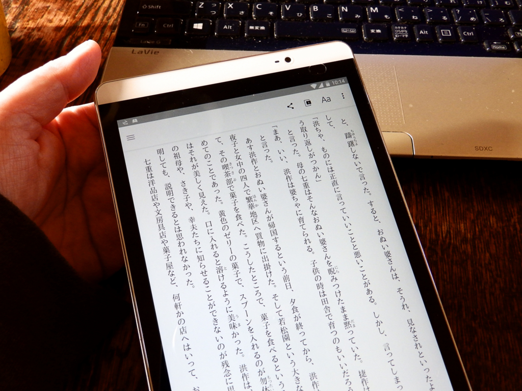 クリックすると大きくなります f:id:garadanikki:20161224103516j:plain