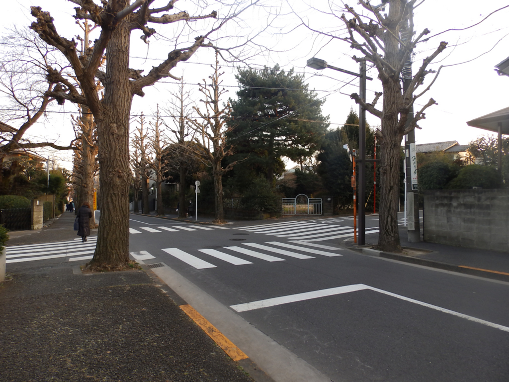 f:id:garadanikki:20170131172742j:plain