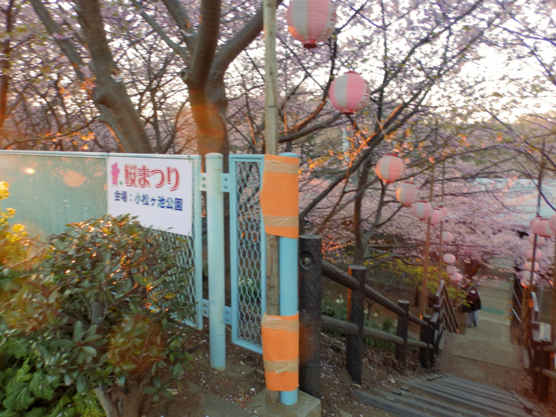 f:id:garadanikki:20170219134528j:plain