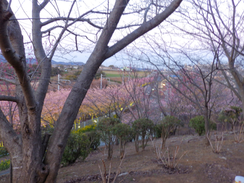 f:id:garadanikki:20170219134551j:plain