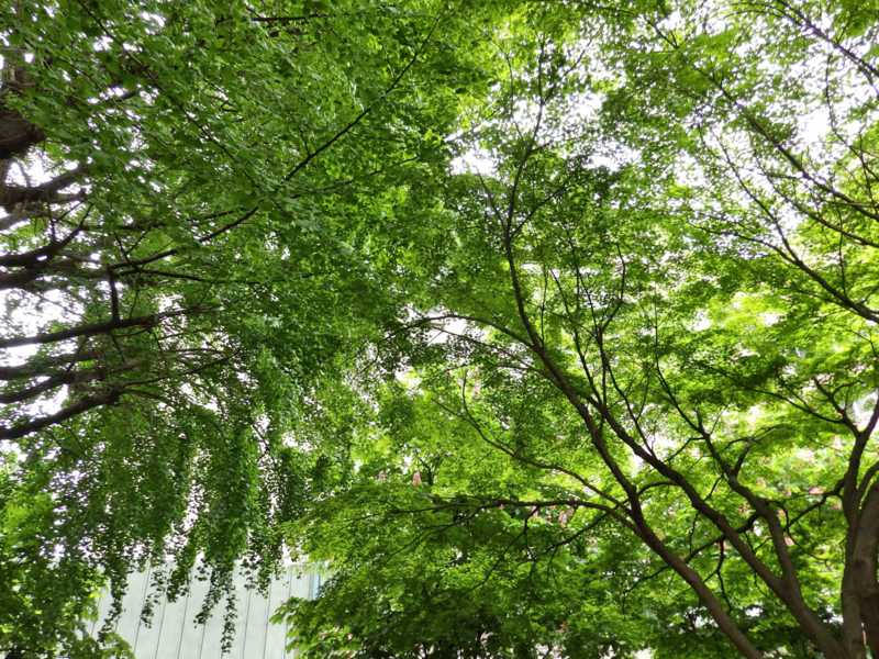 クリックすると大きくなります f:id:garadanikki:20170308105552j:plain