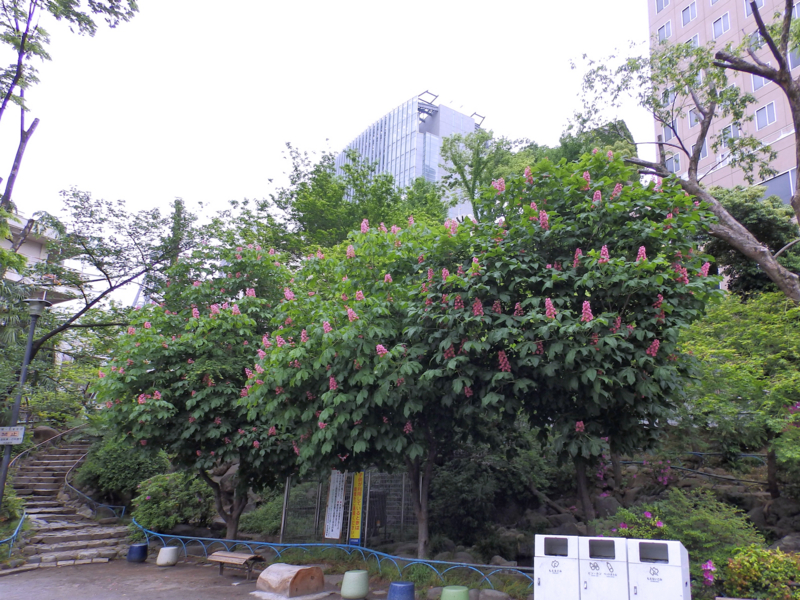 クリックすると大きくなります f:id:garadanikki:20170308105559j:plain