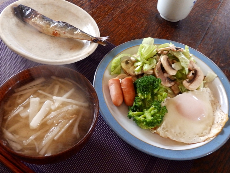 クリックすると大きくなります f:id:garadanikki:20170312165709j:plain