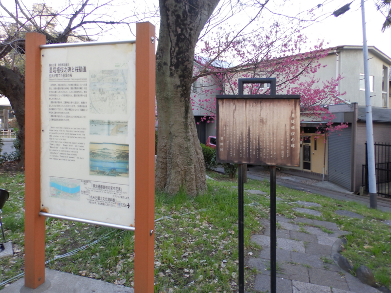 f:id:garadanikki:20170316235107j:plain