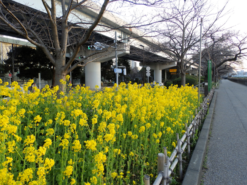 f:id:garadanikki:20170316235132j:plain