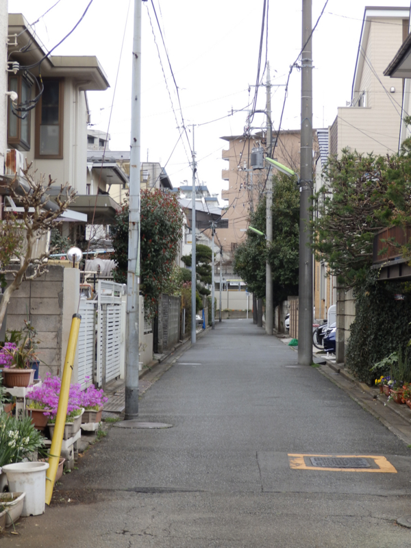 f:id:garadanikki:20170320001129j:plain