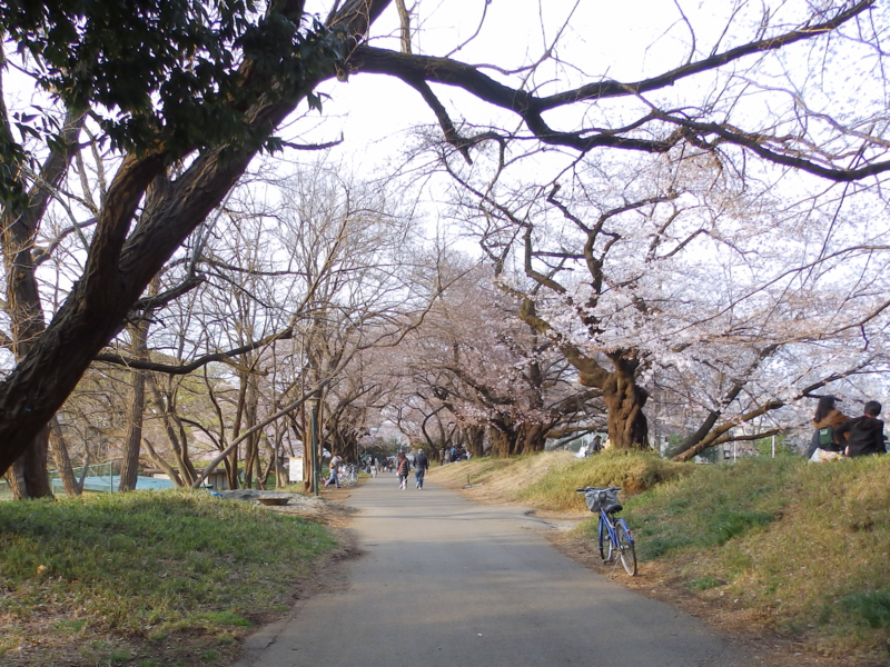 クリックすると大きくなります f:id:garadanikki:20170409143040j:plain