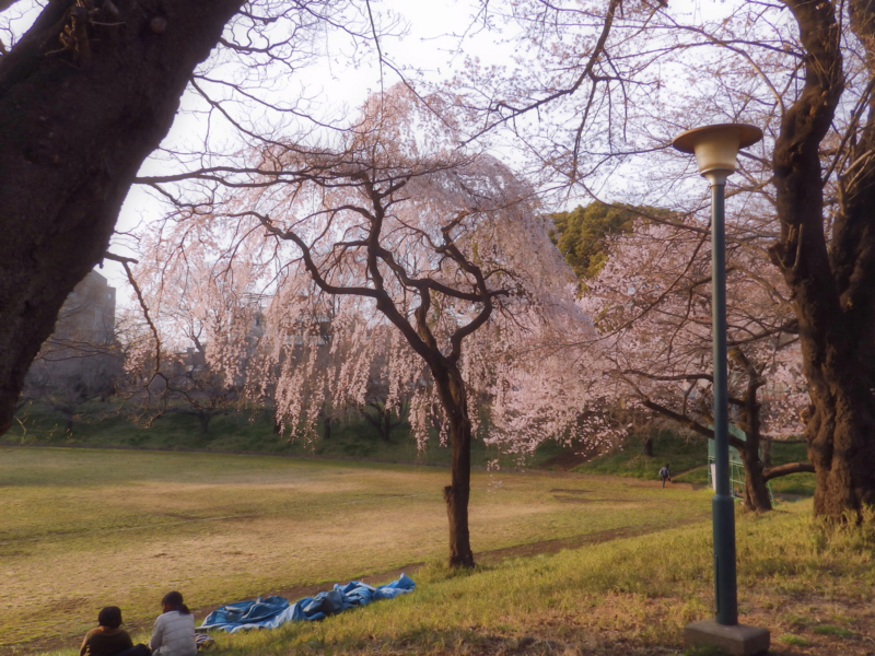 クリックすると大きくなります f:id:garadanikki:20170409143042j:plain