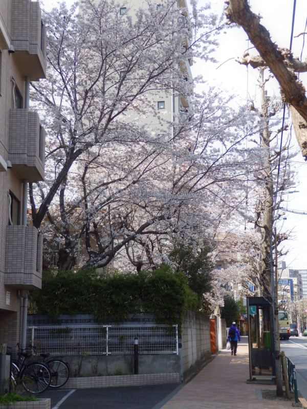 f:id:garadanikki:20170411203140j:plain f:id:garadanikki:20170411203140j:plain