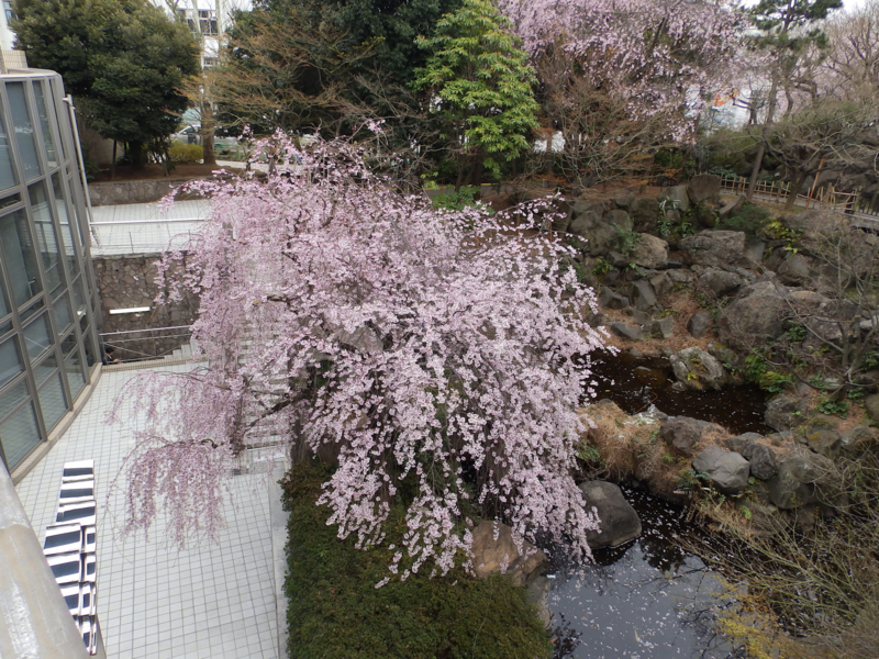 f:id:garadanikki:20170411203207j:plain