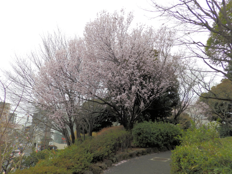 f:id:garadanikki:20170411203218j:plain